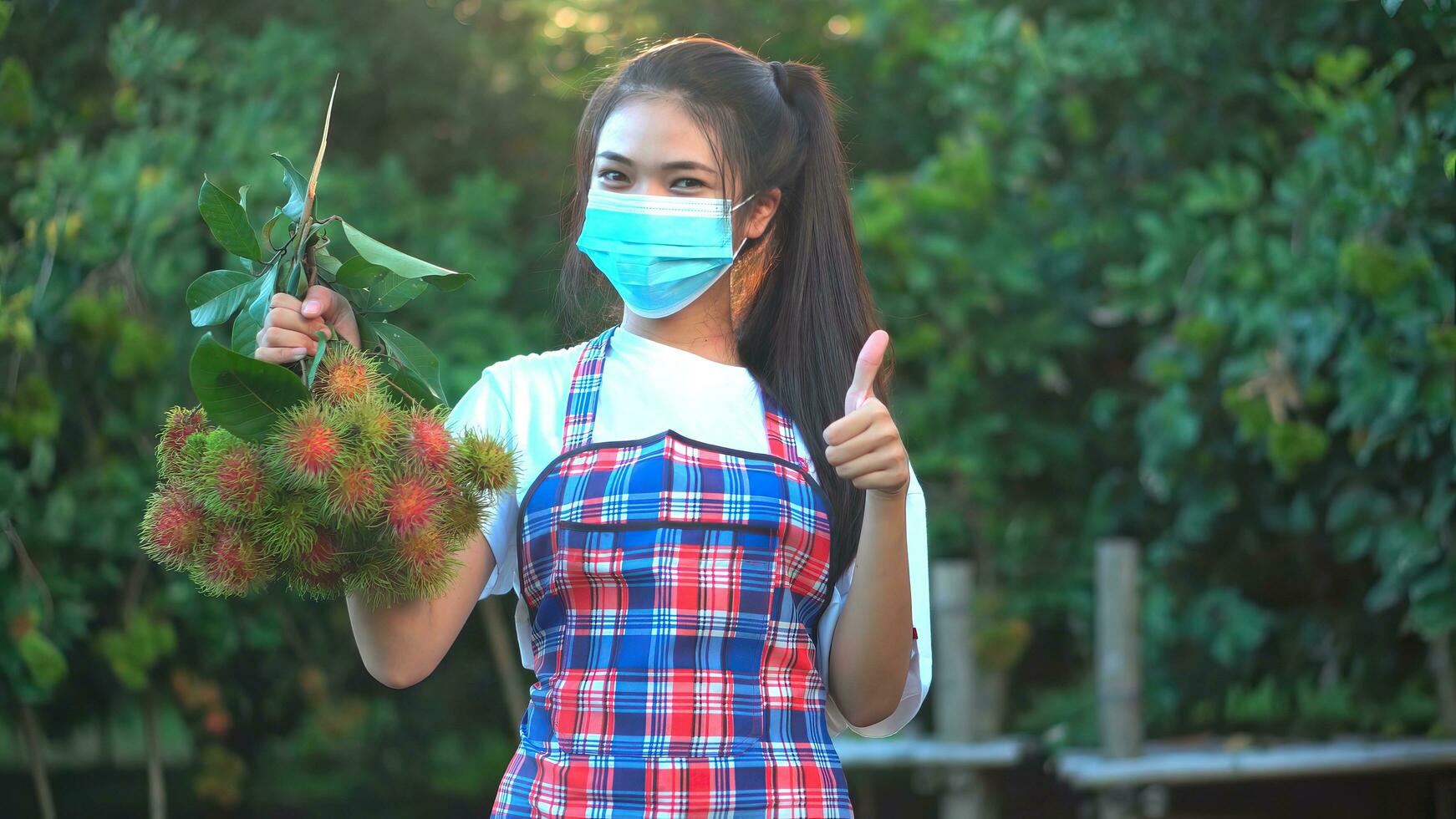 Beautiful young asian girl picking rambutan fruit from tree in her garden. photo