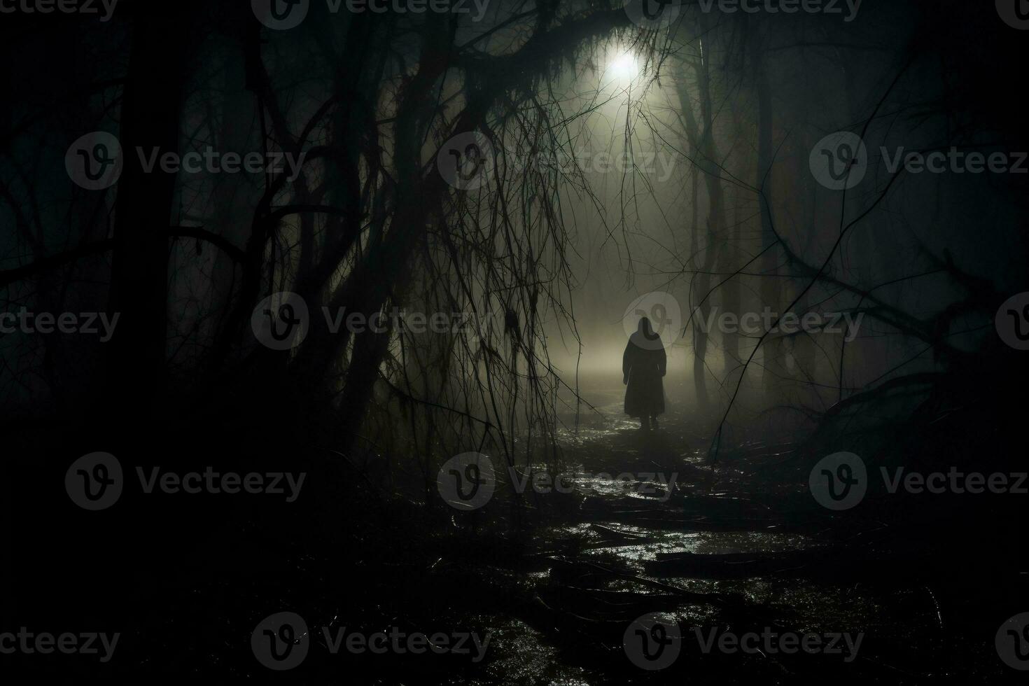 un escalofriante viaje mediante un obsesionado bosque foto