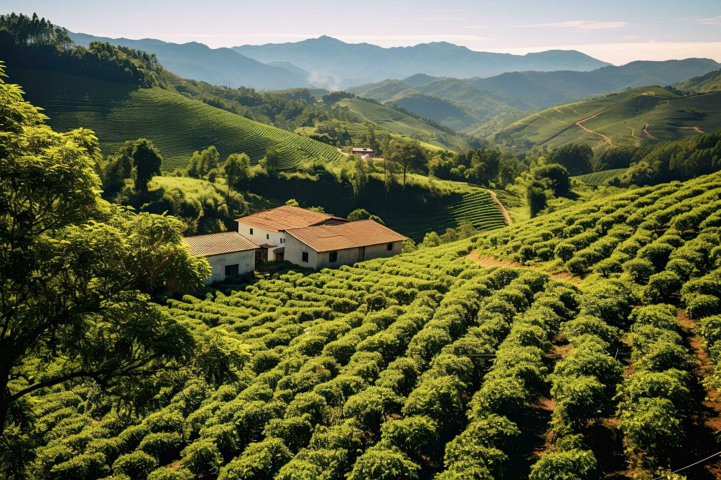 café plantaciones de sur America con un horizonte con montañas en el antecedentes ,generativo ai foto