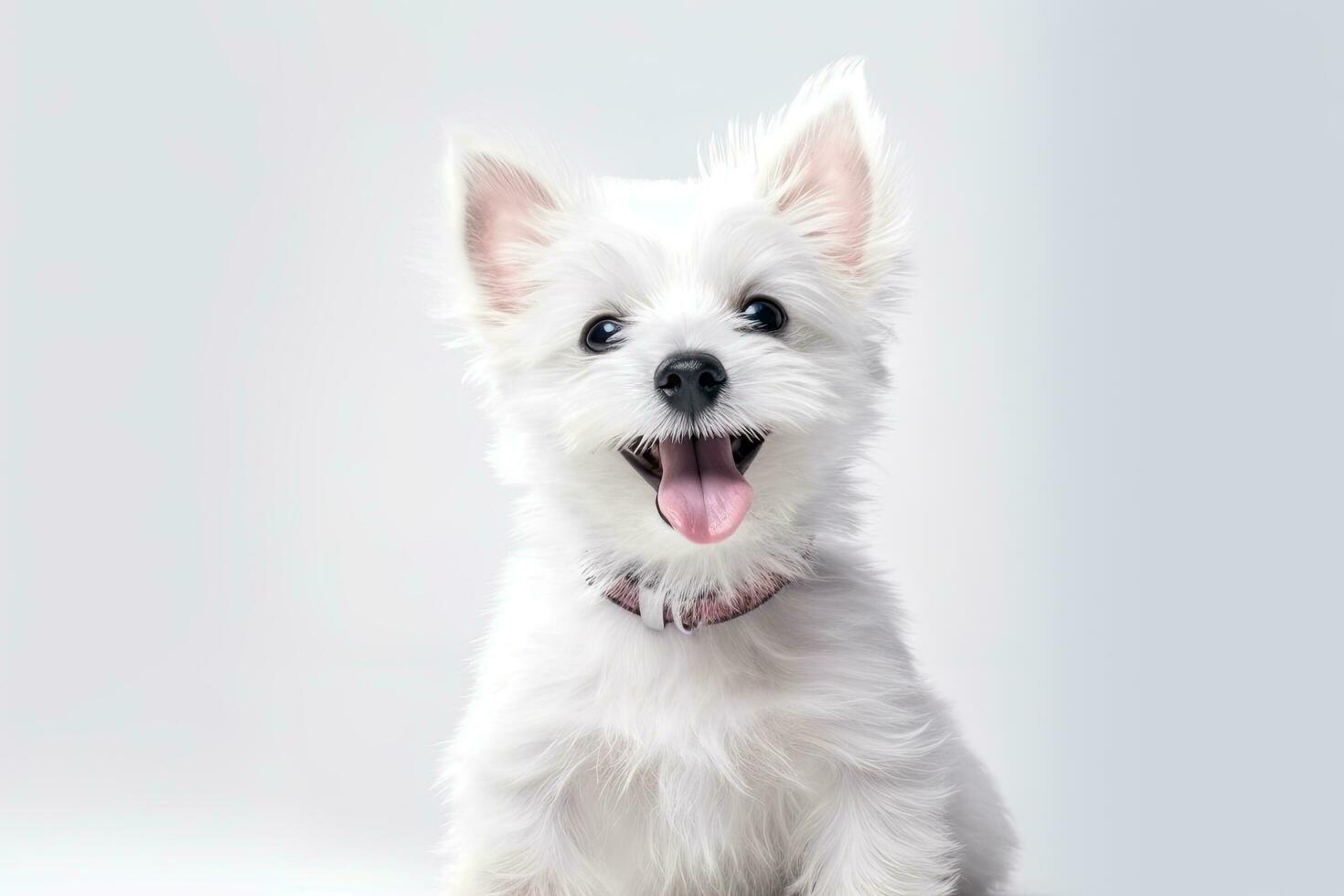 Cute playful white-braun doggy playing and looking happy isolated on white background. generative ai photo