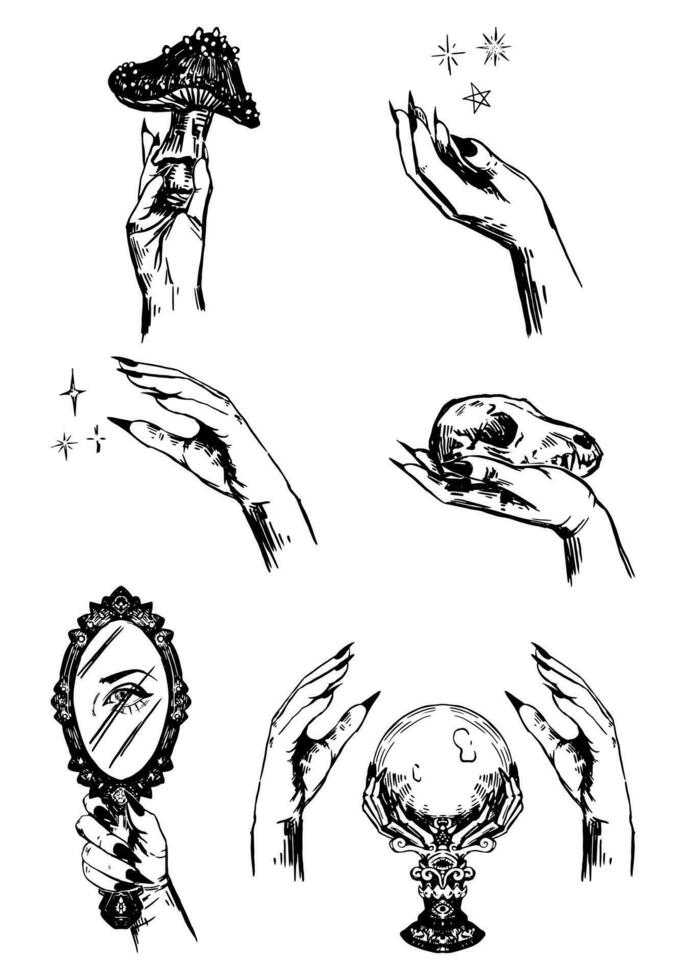 Set of witch hands. Sorcerer hand holds skull, mirror, poisonous mushroom, magic crystal ball. Sketches vector collection. Halloween mystery cliparts isolated on white.