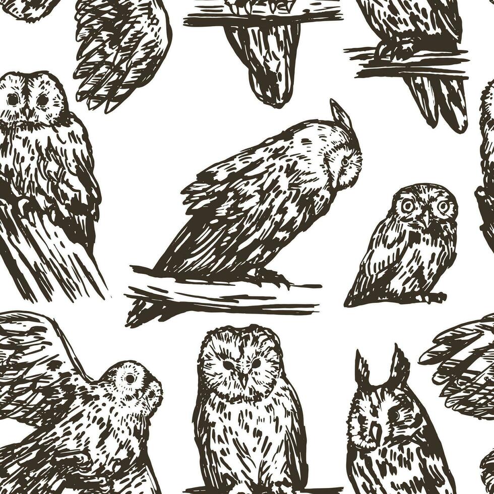 búhos aves sin costura modelo. ornamento de realista bocetos de salvaje animales vector ilustración en retro grabado estilo.