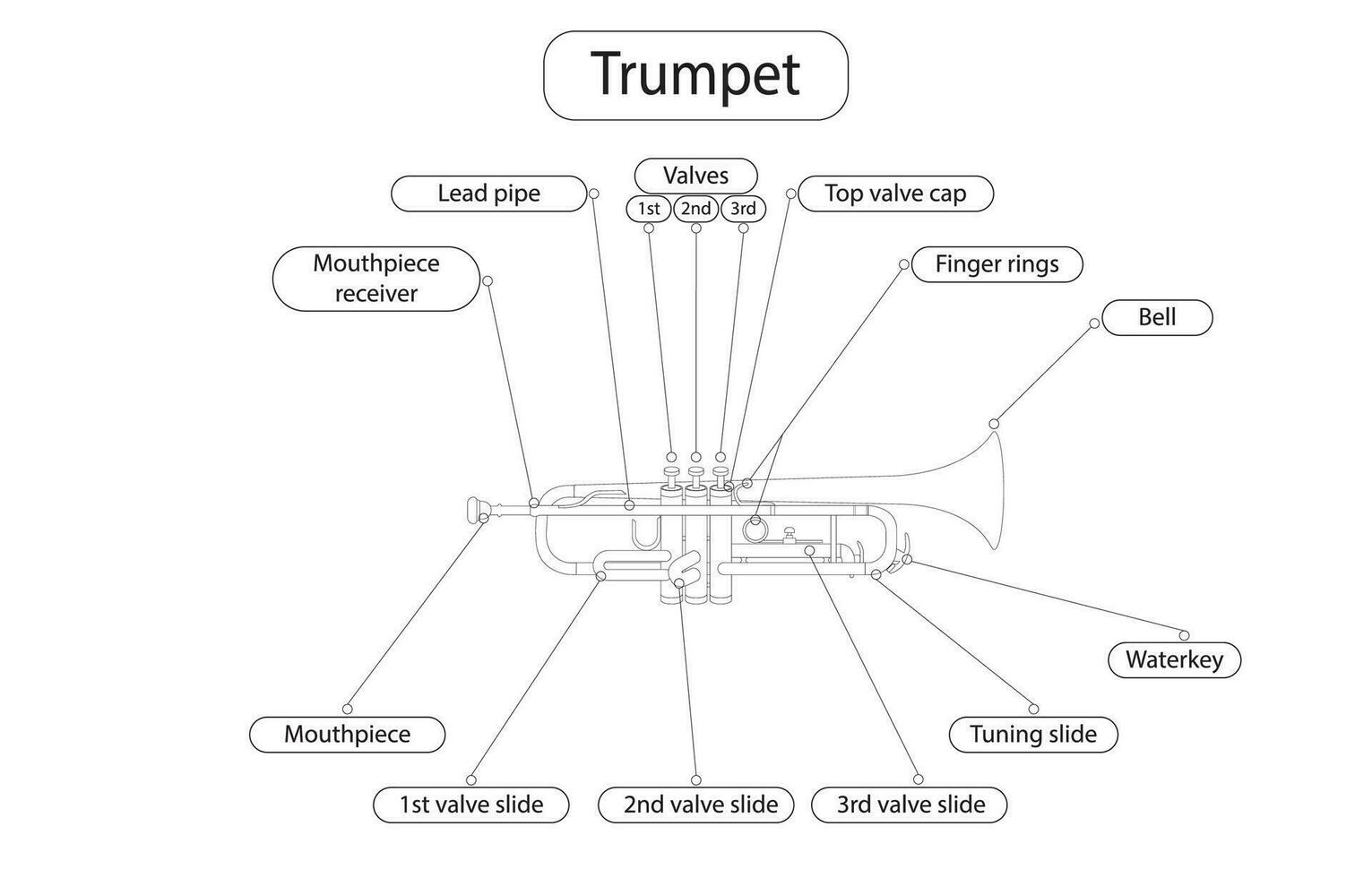 Line drawing of trumpet, machine components brass musical instruments vector