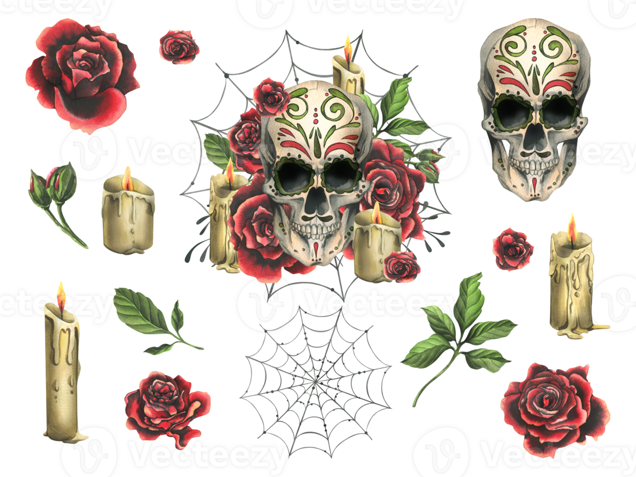 Ornamented human skull with red roses, candles and cobwebs. Hand drawn watercolor illustration for day of the dead, halloween, Dia de los muertos. Set of isolated elements png