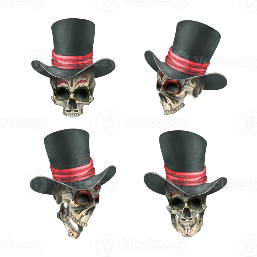 Ornamented human skulls in a black top hat with a red ribbon. Hand drawn watercolor illustration for day of the dead, halloween, Dia de los muertos. Set of isolated objects png