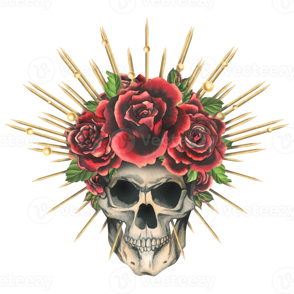 Human skull with red flowers rose in a golden crown with thorns, rays. Hand drawn watercolor illustration for day of the dead, halloween, Dia de los muertos. Isolated object png