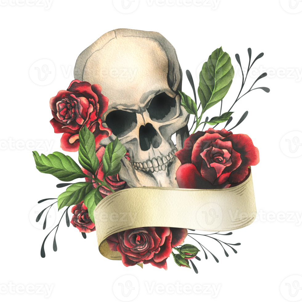 Human skull with ribbon for text, red rose flowers and leaves. Hand drawn watercolor illustration for Halloween, day of the dead, Dia de los muertos. Isolated composition png