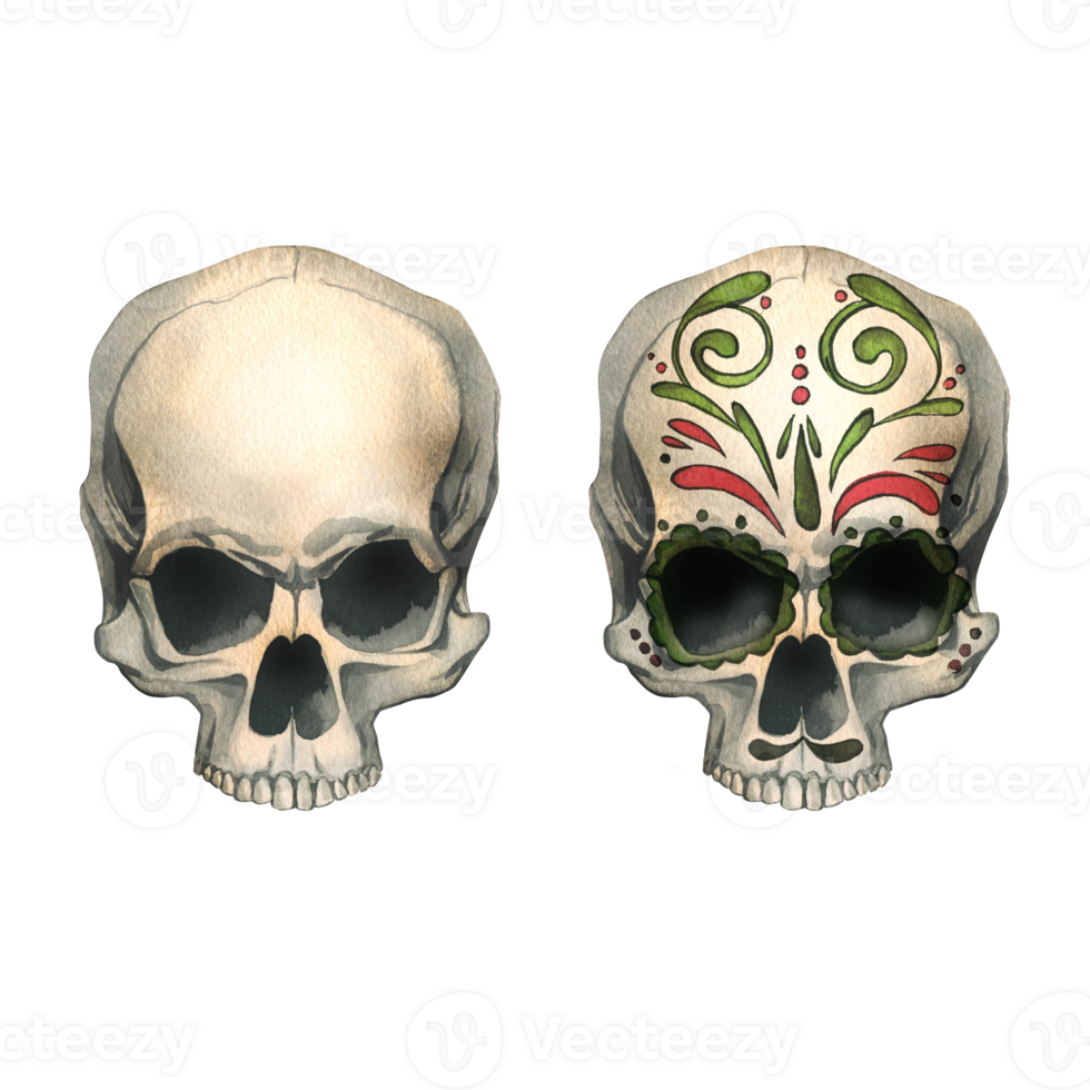Human skulls front view with colored ornaments and without. Hand drawn watercolor illustration for Halloween, day of the dead, Dia de los muertos. Set of isolated objects png