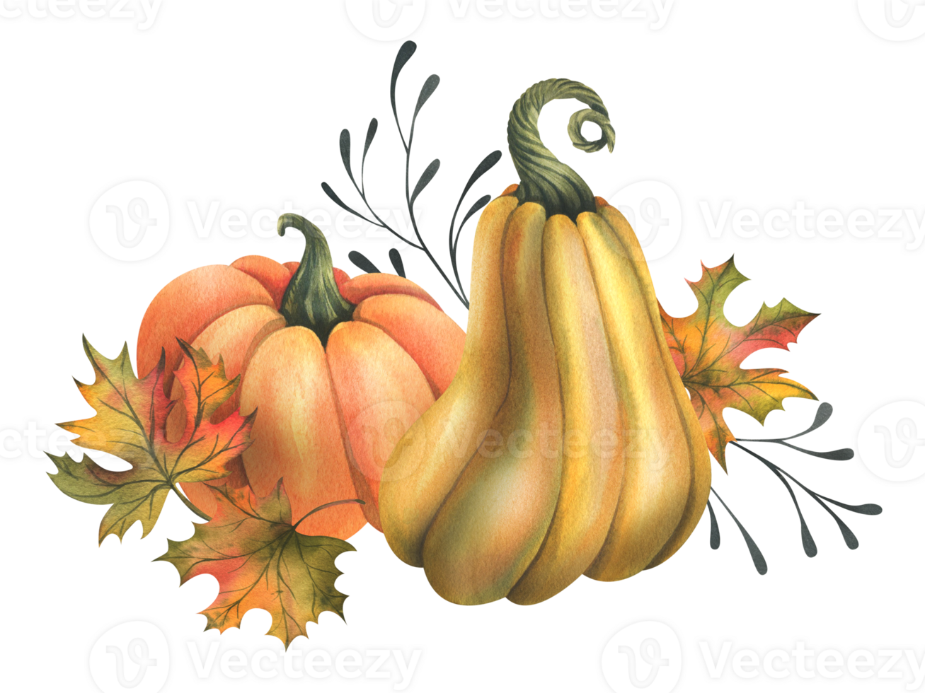 Orange autumn pumpkins with maple leaves and twigs. Watercolor illustration, hand drawn. Isolated composition png