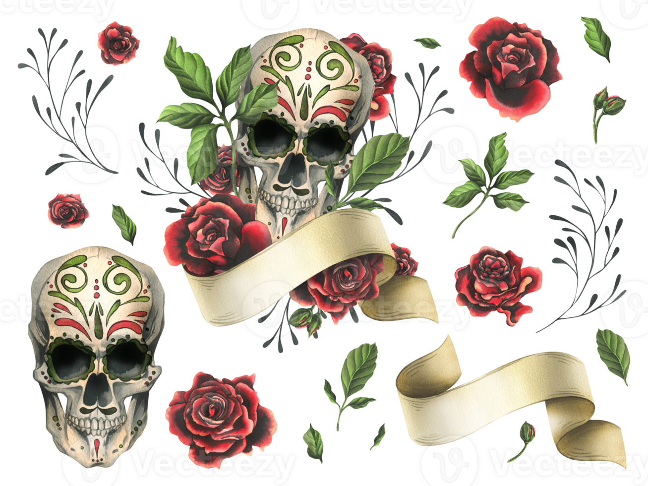 Human skull with hand drawn ornament with ribbon for text, red roses. Hand drawn watercolor illustration for Halloween, day of the dead, Dia de los muertos. Set of elements png