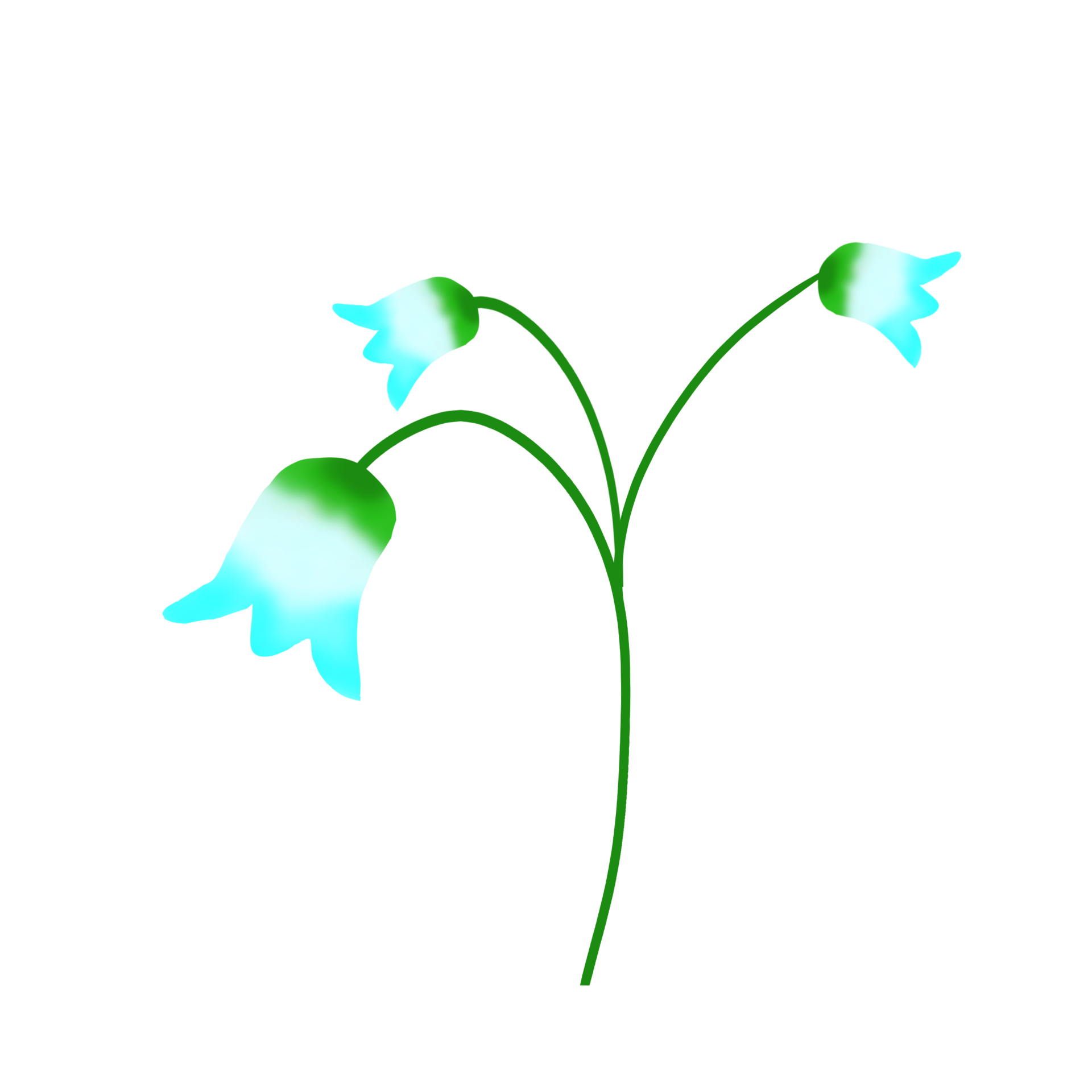 Blue snowdrop flower 28535889 png