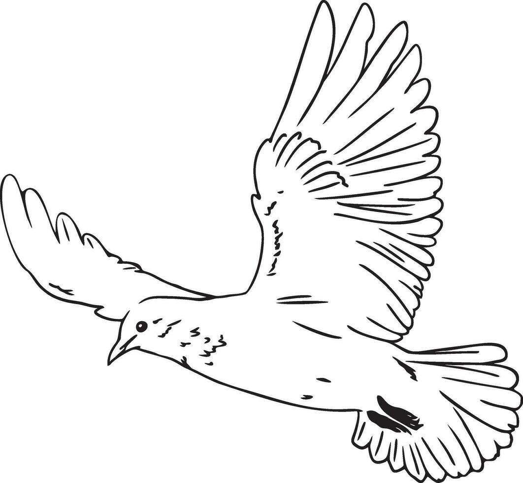 Fliying dove bird cnc friendly vector