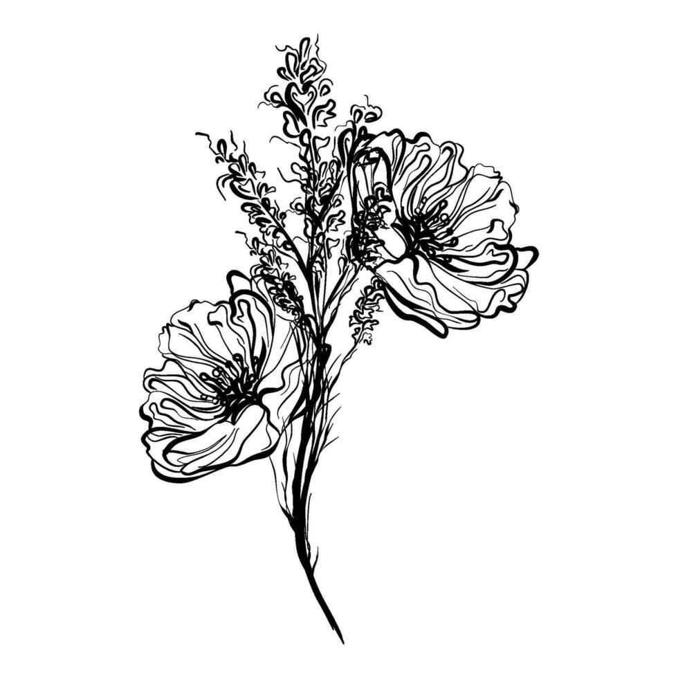 Hand drawn poppies tattoo isolated on white background. vector