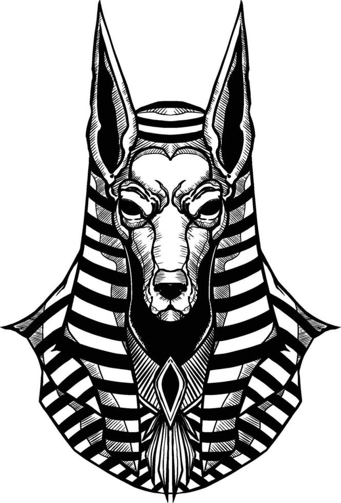 Anubis is the god of Egypt. Hand drawing  black  white background vector