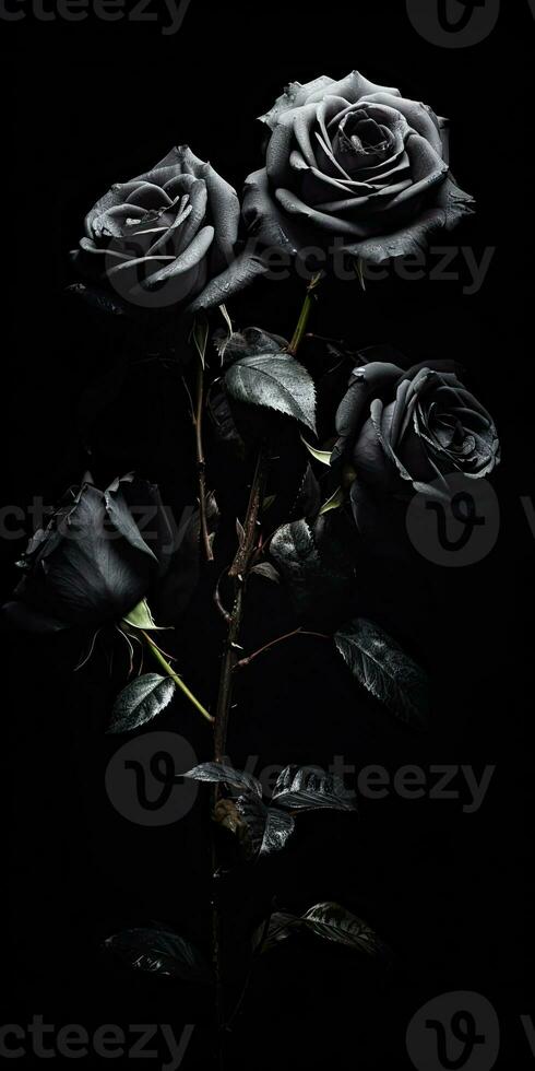 Spellbinding closeup portrait of roses, eternal melancholy, AI Generated photo