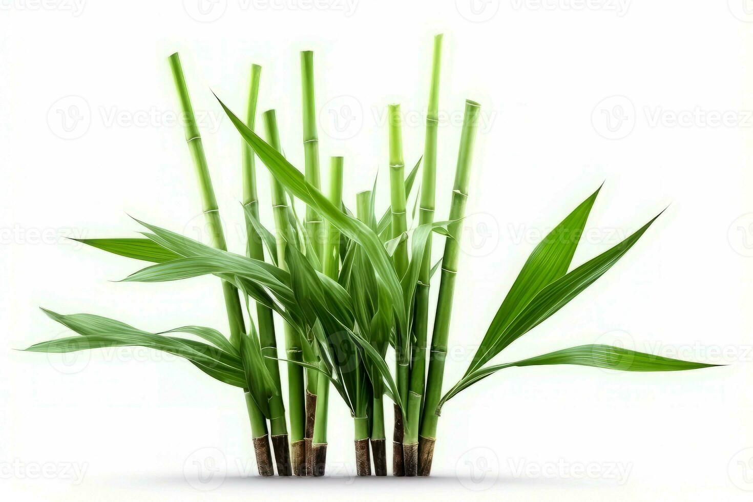 Green bamboo plant. Generate Ai photo