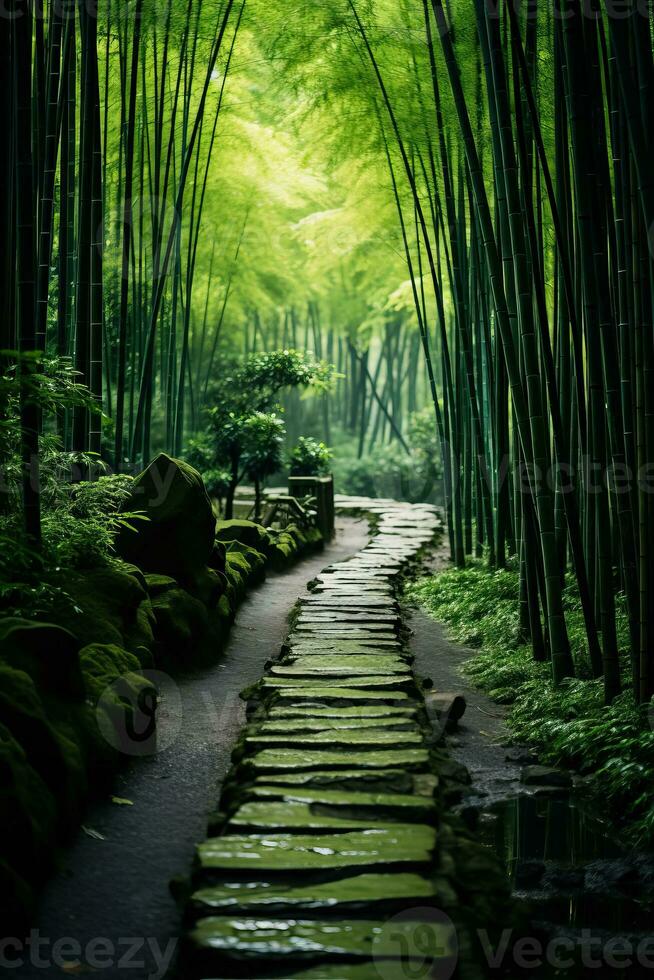 A serene bamboo forest with sunlight filtering through the leaves perfect for your peaceful meditation texts photo