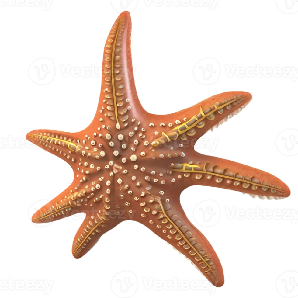 starfish cute  fish AI Generative png