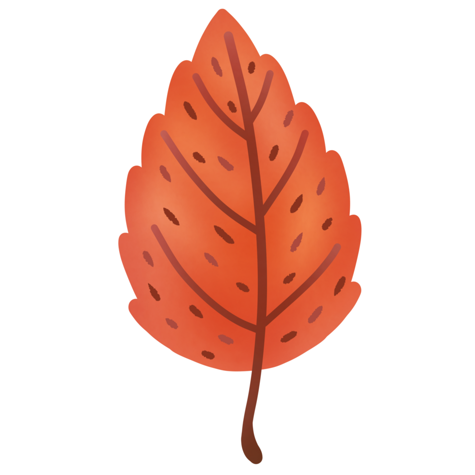 leaves change color in autumn 28538602 PNG