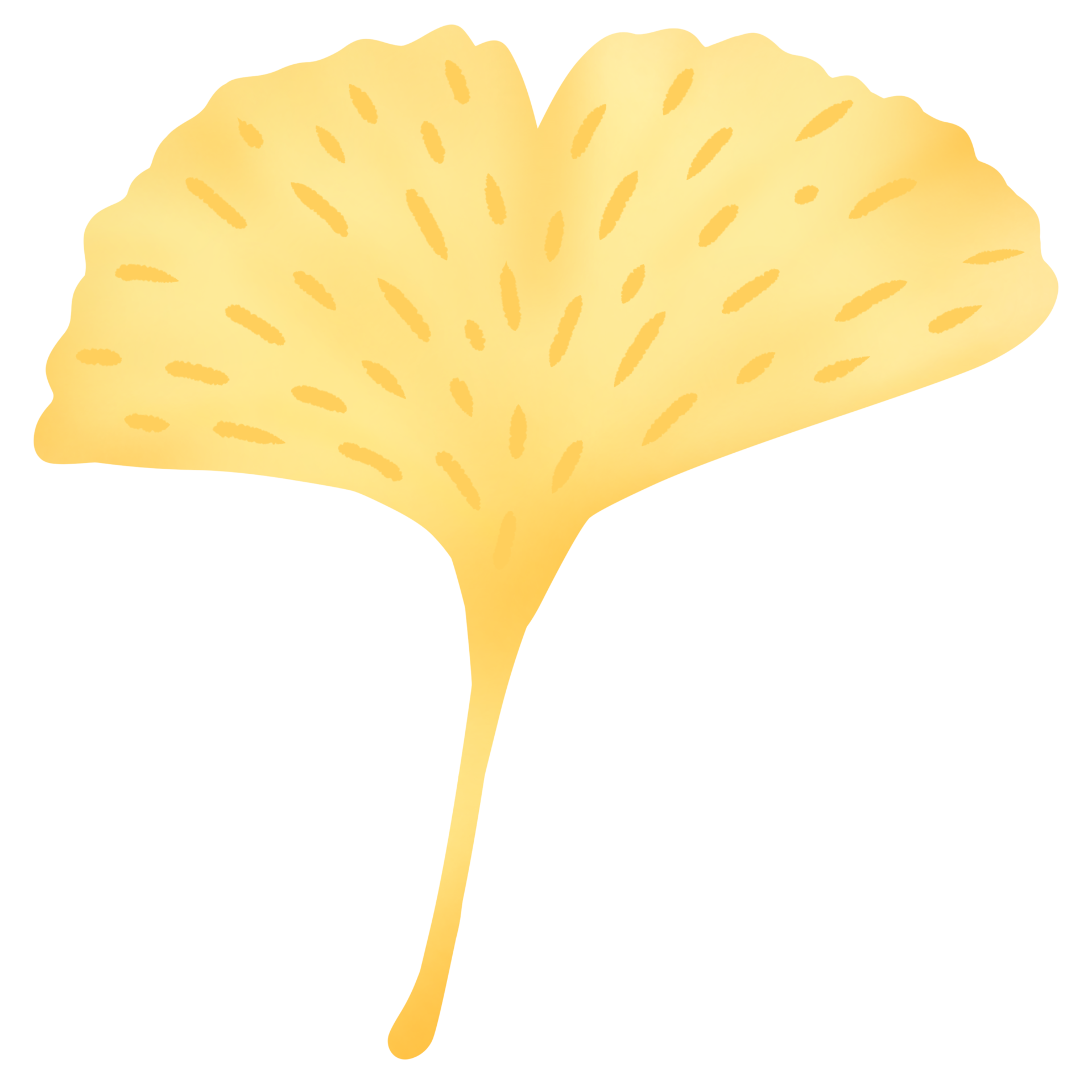 Leaves Change Color In Autumn 28538611 PNG leaves-change-color-in-autumn-28538611-png