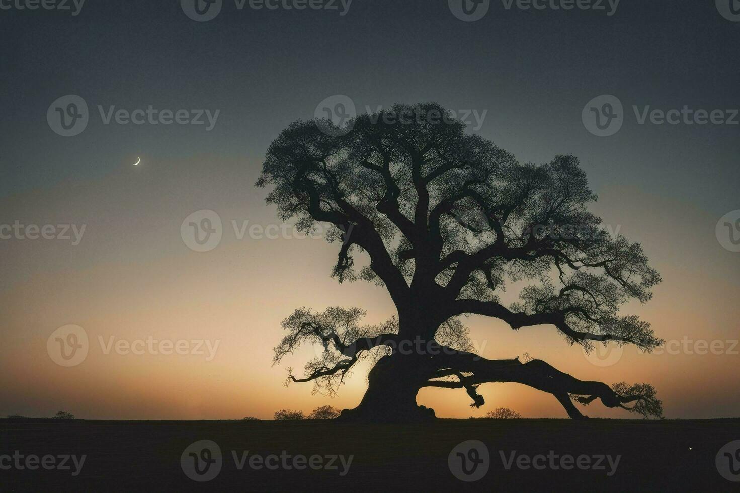 Natural sunset landscape with man under the tree silhouette, generative ai photo