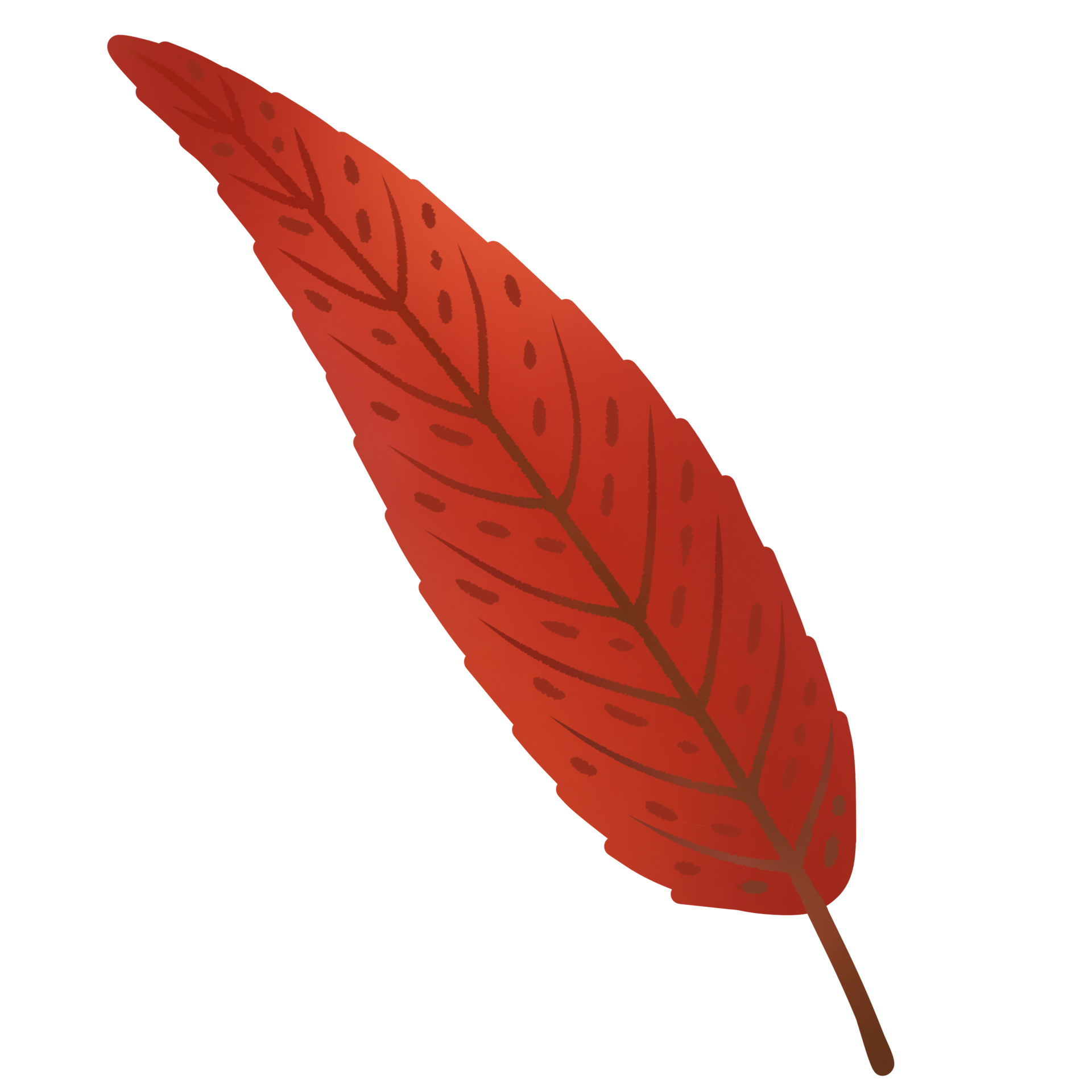 Leaves Change Color In Autumn 28538720 PNG leaves-change-color-in-autumn-28538720-png