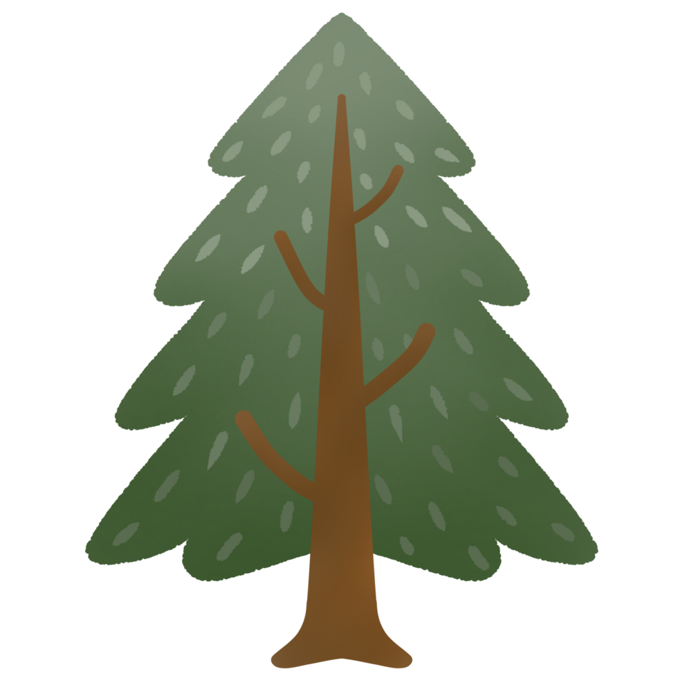 trees change color in autumn png