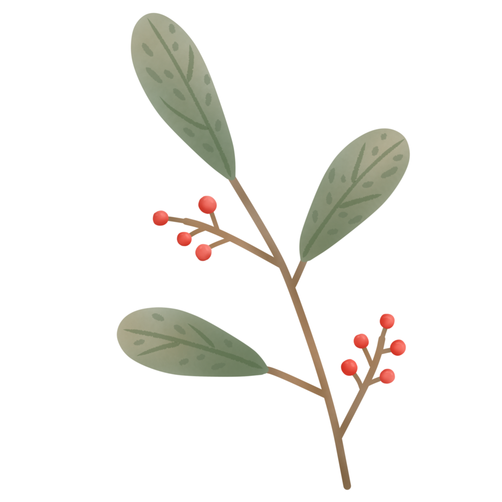 leaves change color in autumn png