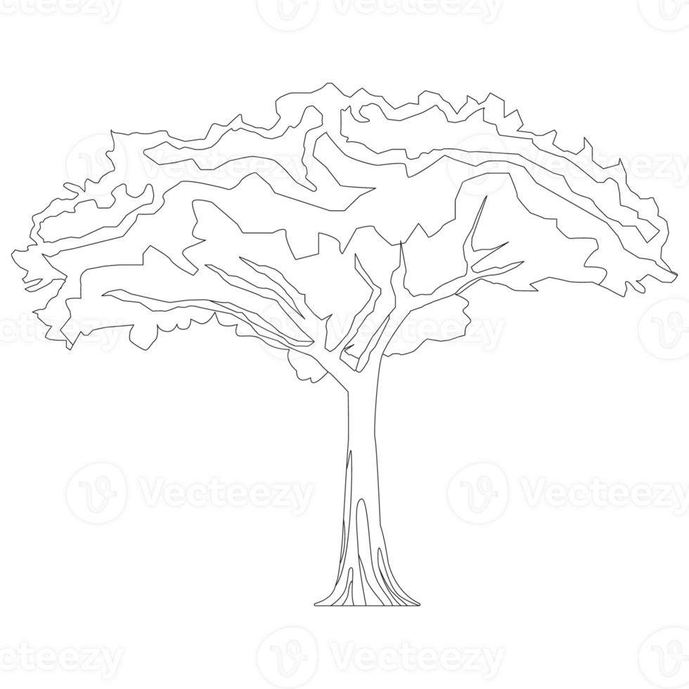 Tree Nature 2D Outline Illustrations png