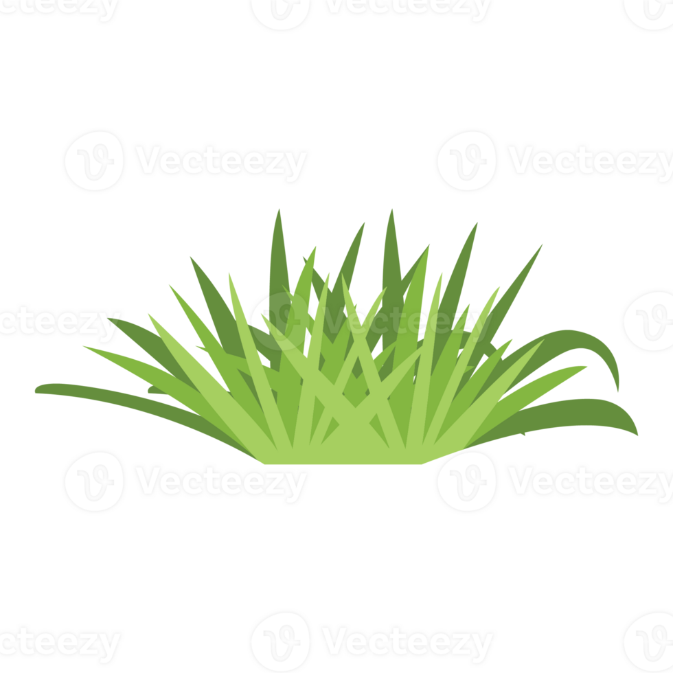Grass Nature 2D Color Illustrations png