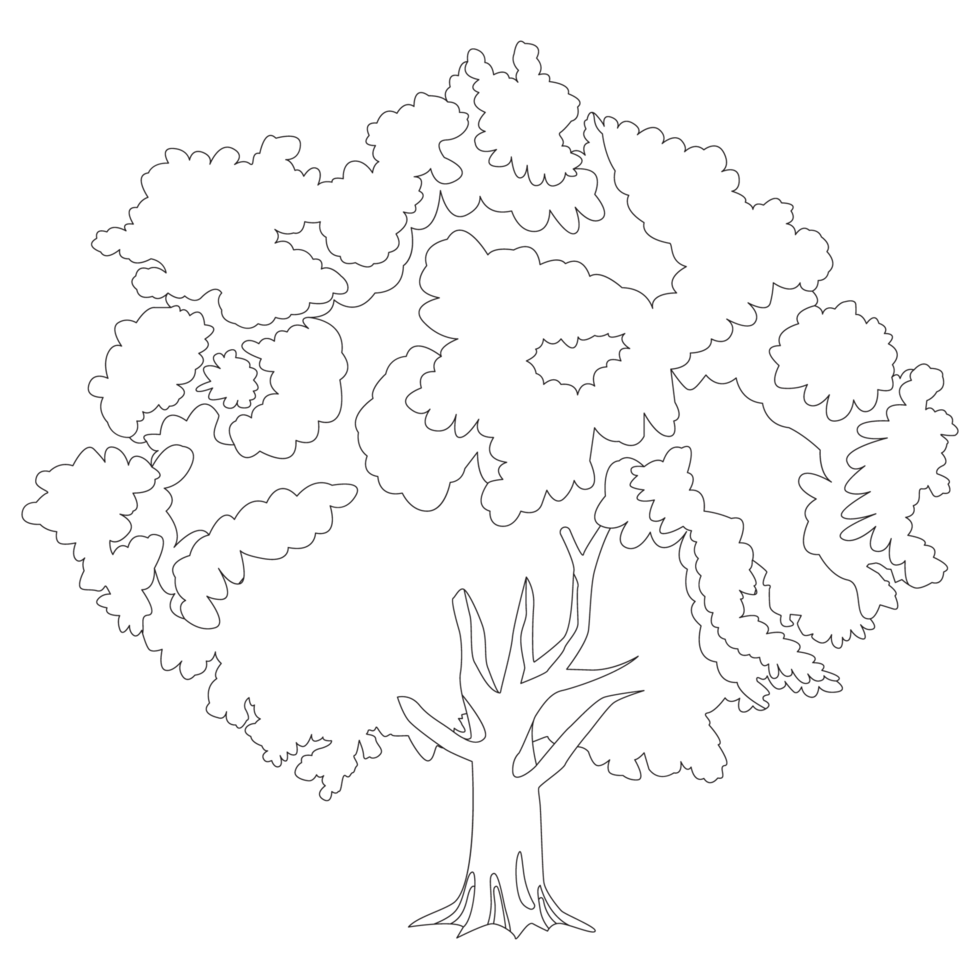 Big Tree Nature 2D Outline Illustrations png