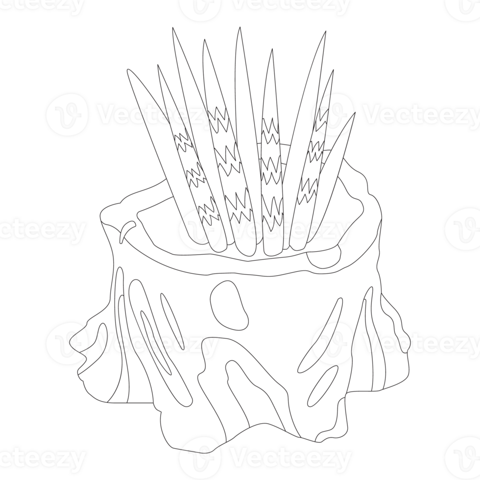 Log Succulent Nature 2D Outline Illustrations png