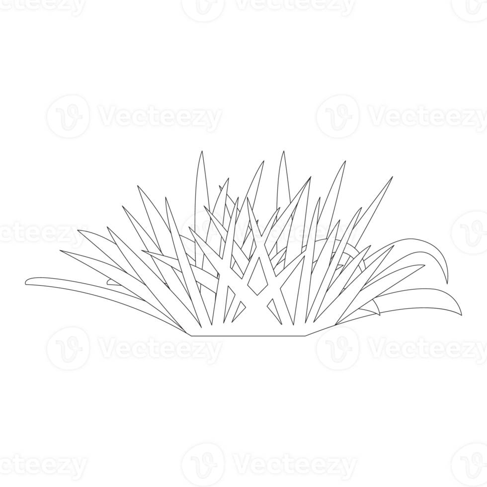 Grass Nature 2D Outline Illustrations png