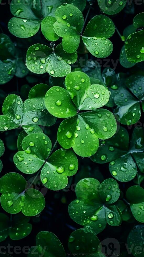 A Bunch of clover leaf background, Generative AI photo