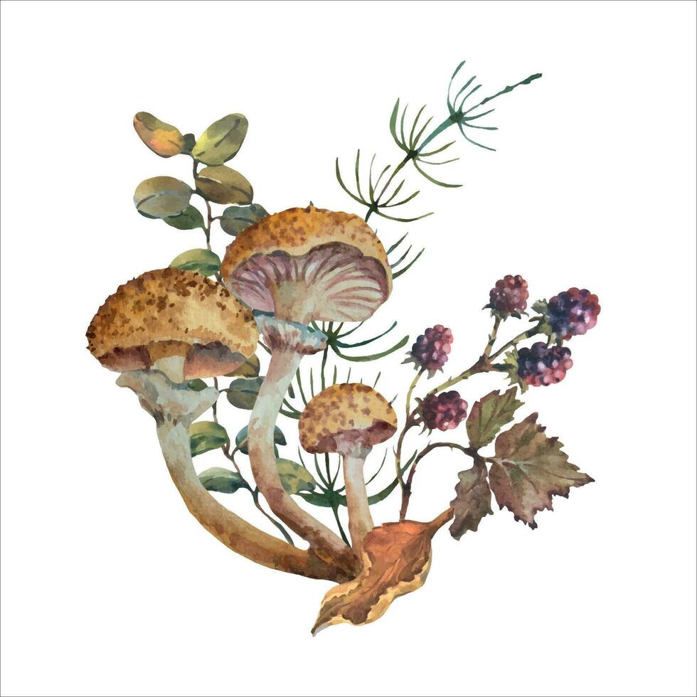 Watercolor composition with honey fungus mushroom, Armillaria mellea and forest plant and berries. Hand drawn mushroom illustration vector