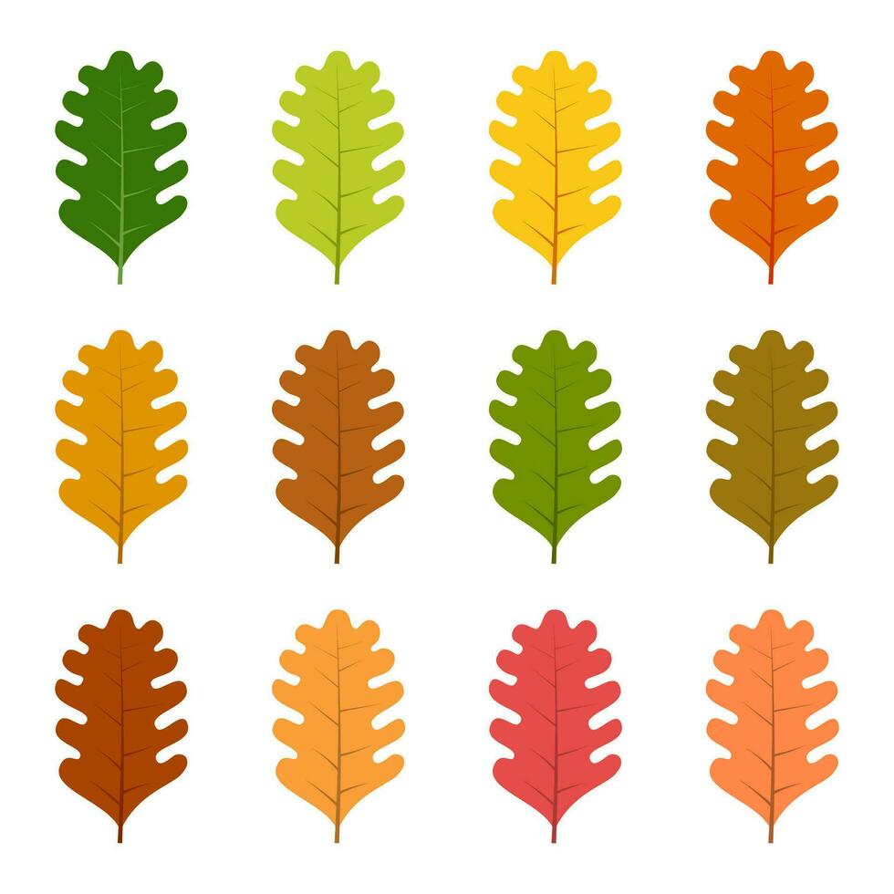 conjunto de doce hojas de otoño en diferentes colores otoñales. ilustración vectorial vector