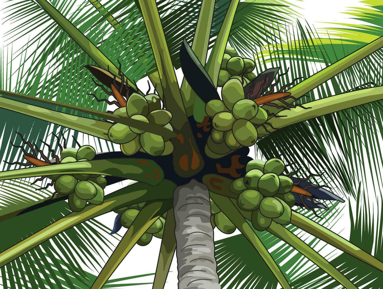 coconut tree design vector, advertisement, banner. vector