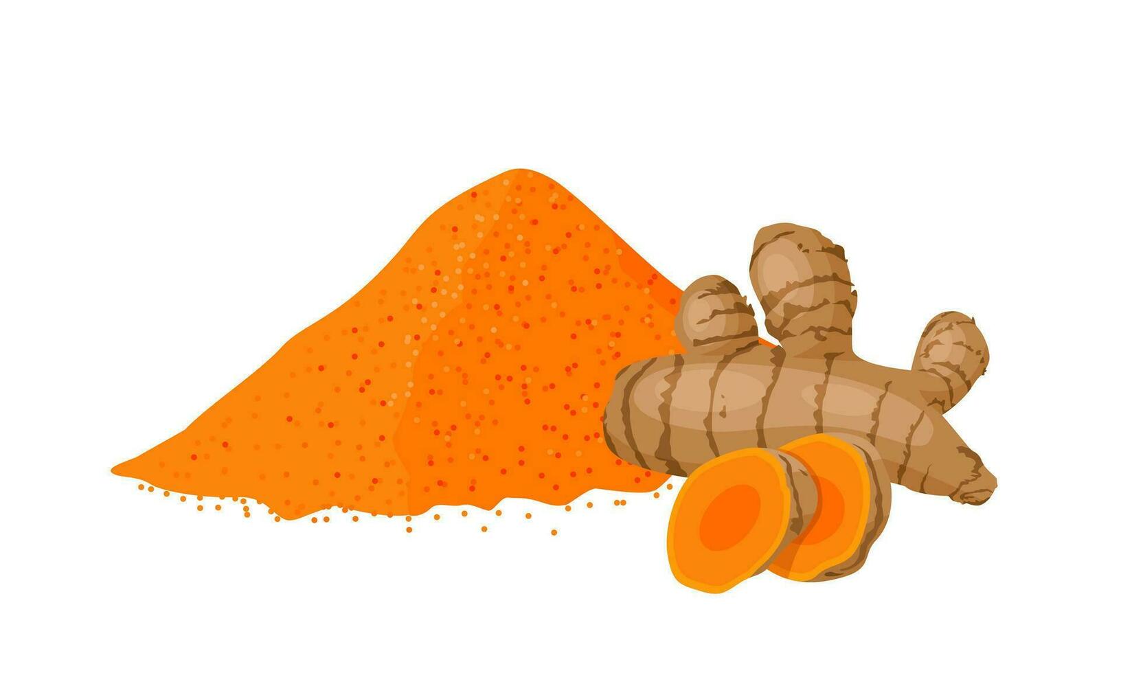 Vector illustration, turmeric powder, with turmeric rhizome or Curcuma longa, isolated on white background.