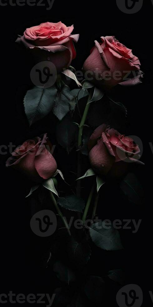 Spellbinding closeup portrait of roses, eternal melancholy, AI Generated photo