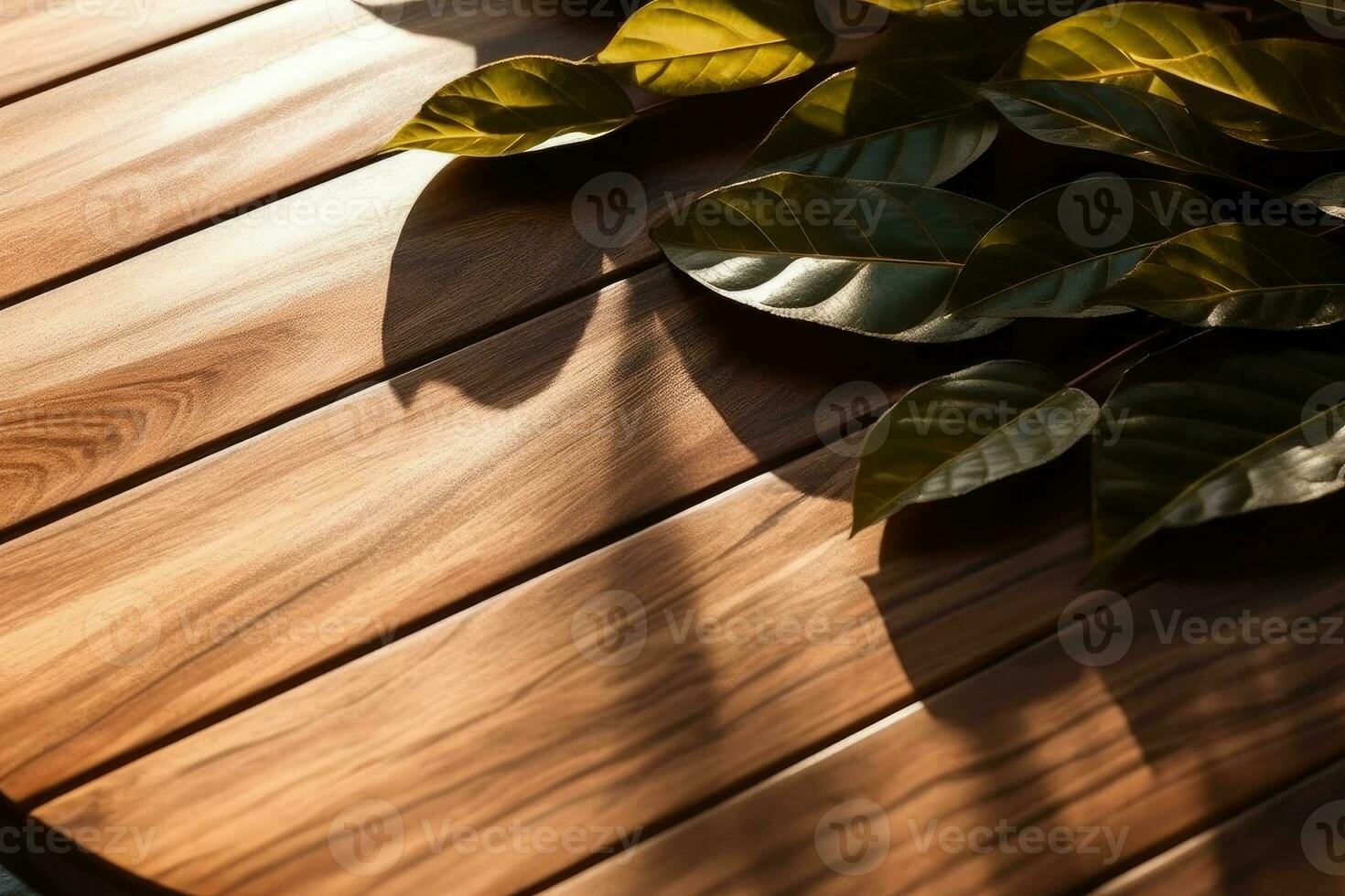 wooden platform with a large leafy green background photo