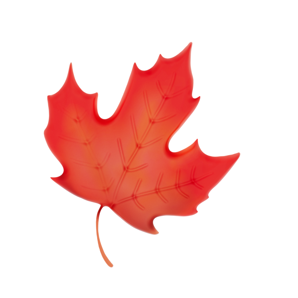 Autumn leave  3d on transparent background png