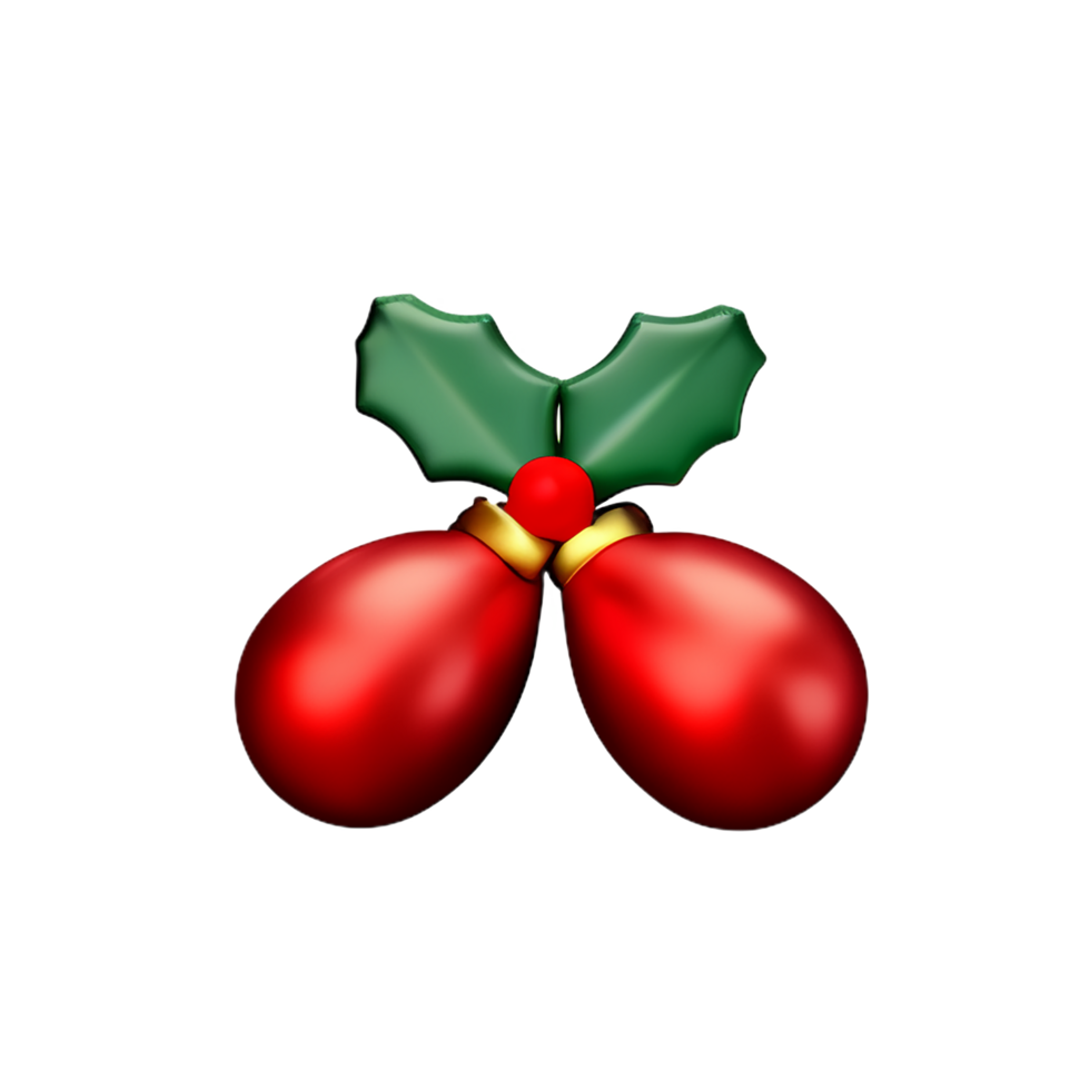christmas 3d mistletoe icon illustration png