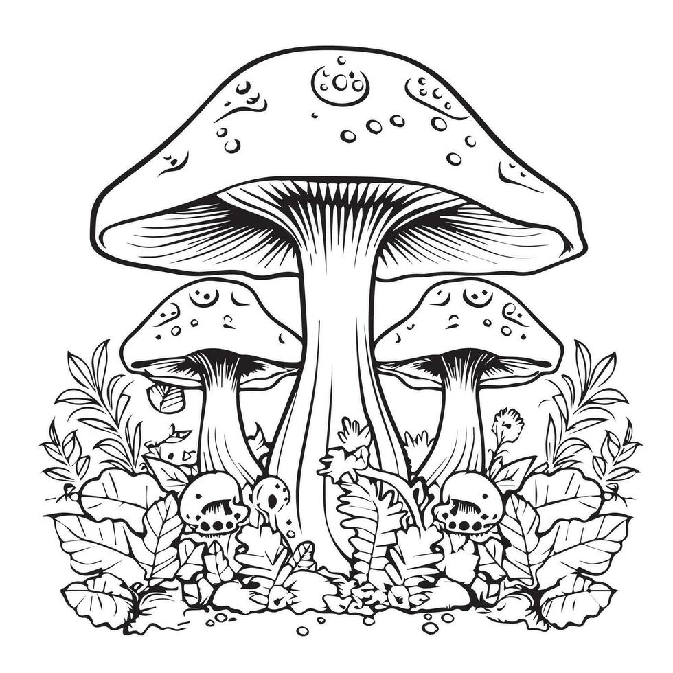 mushroom coloring page vector