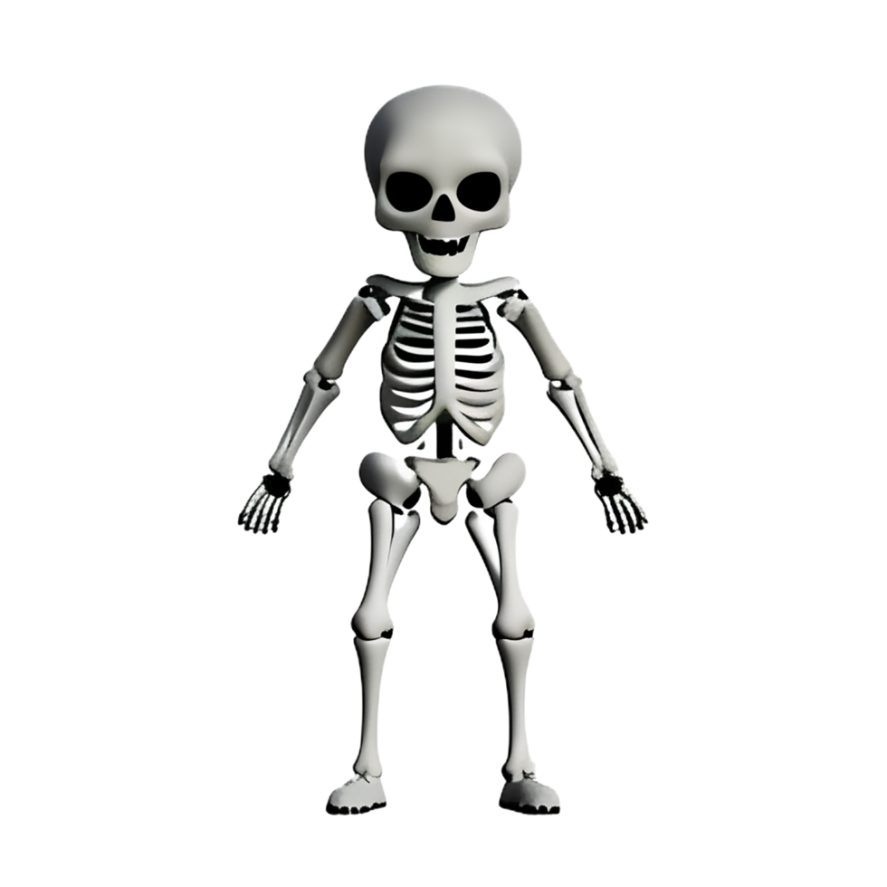 skeleton 3d rendering icon illustration png