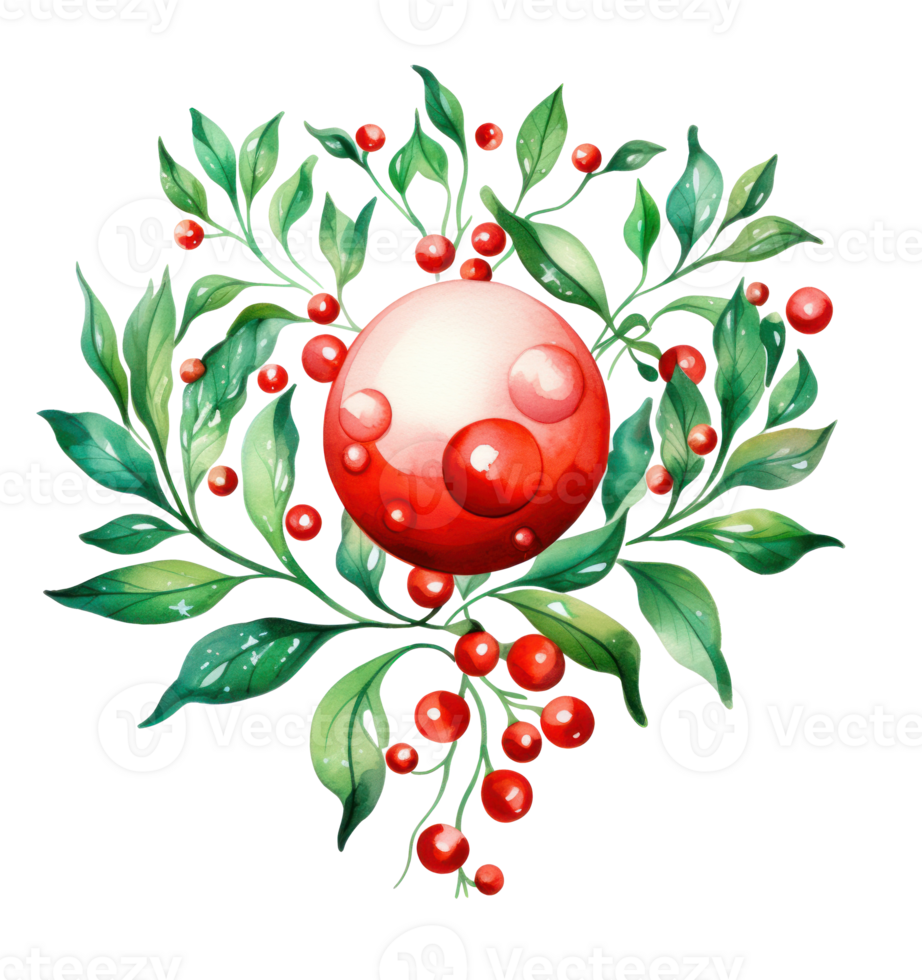 Watercolor holly bud png