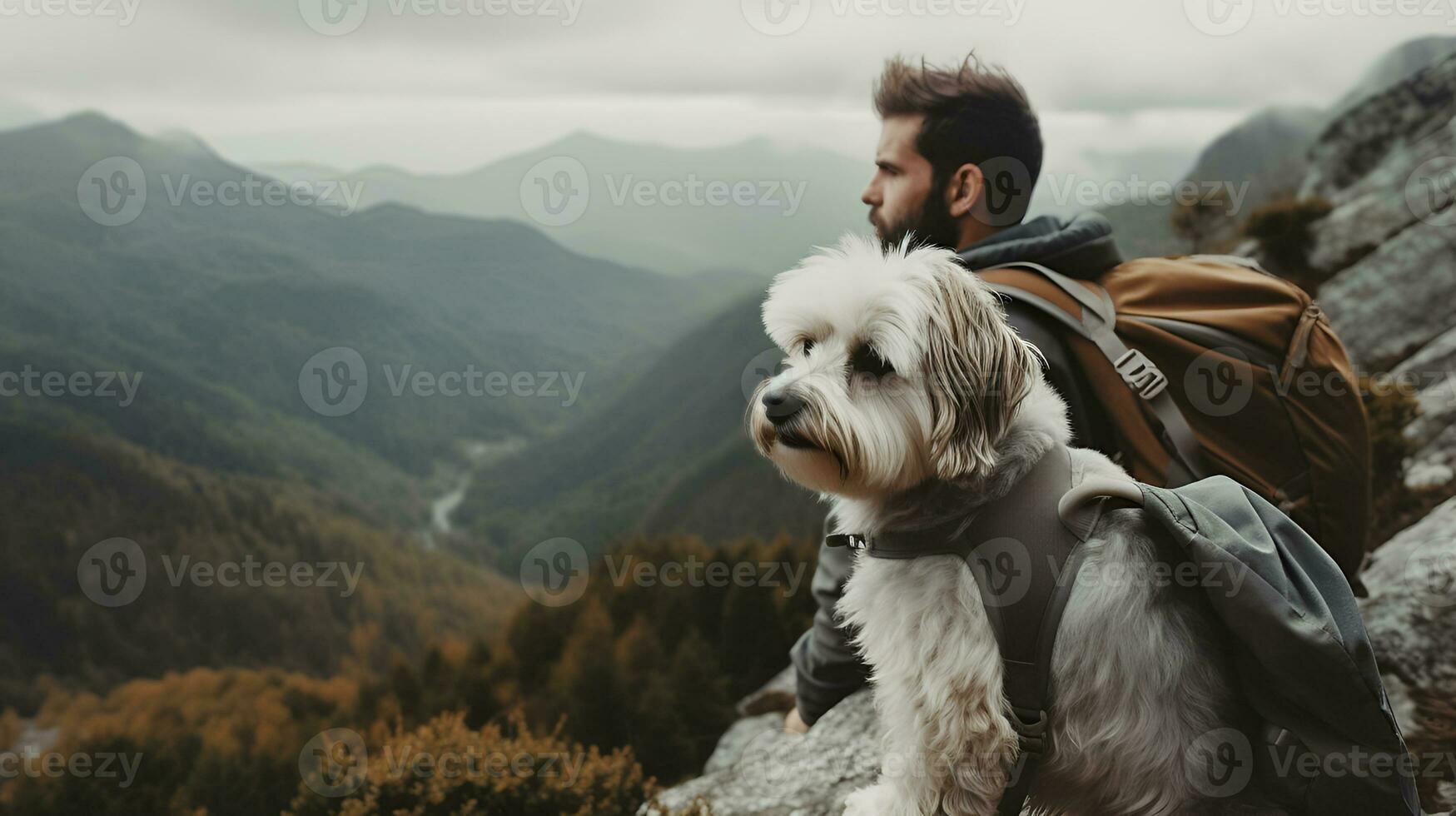 Man hiking in fluffy bearded gray dog in mountains in autumn pet adoption traveling with dog generative ai photo