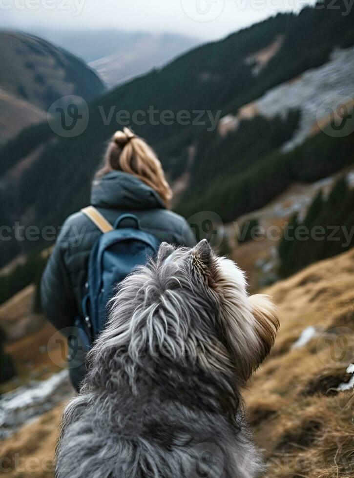 rear view of woman hiking with fluffy bearded gray dog in mountains in autumn pet adoption traveling with dog generative ai photo