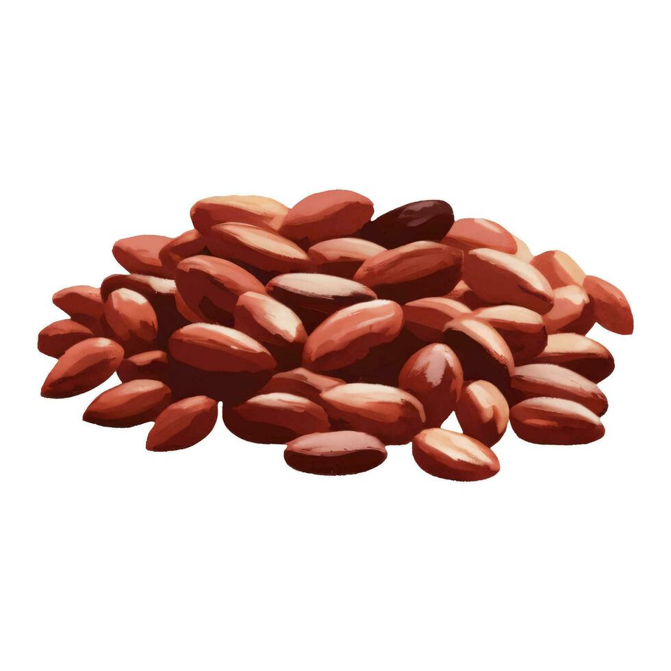 Pile of Cocoa Beans Isolated Hand Drawn Painting Illustration vector
