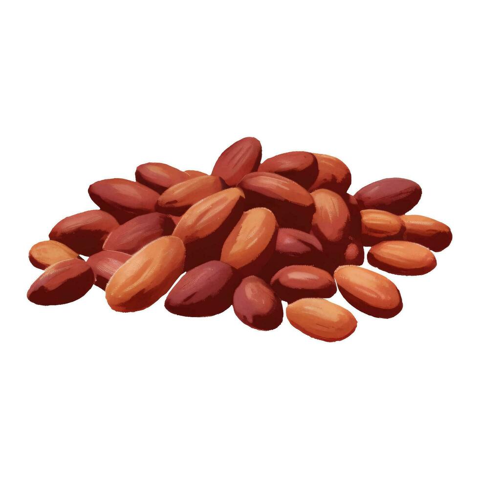 pila de cacao frijoles aislado mano dibujado pintura ilustración vector