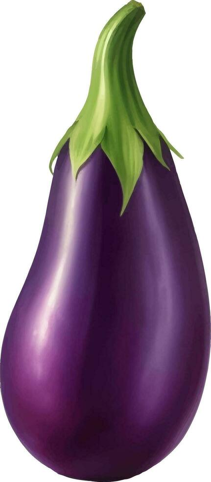 Eggplant Detailed Beautiful Hand Drawn Vector Illustration